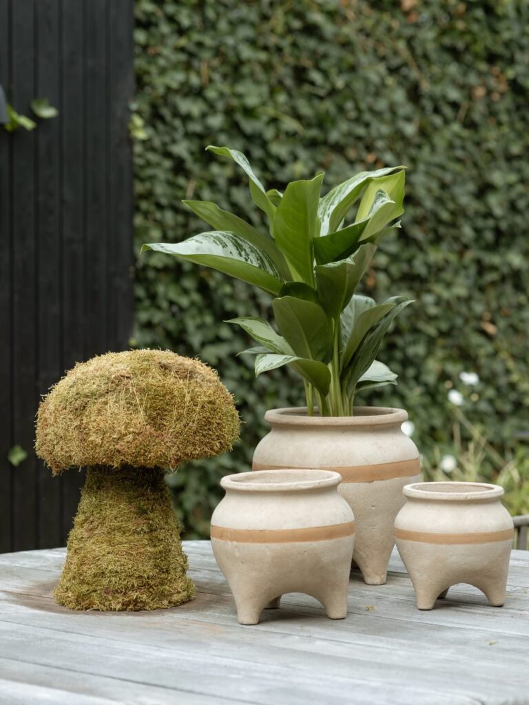 Ronald Eekhof Blomstergrossist & HBX Natural Living